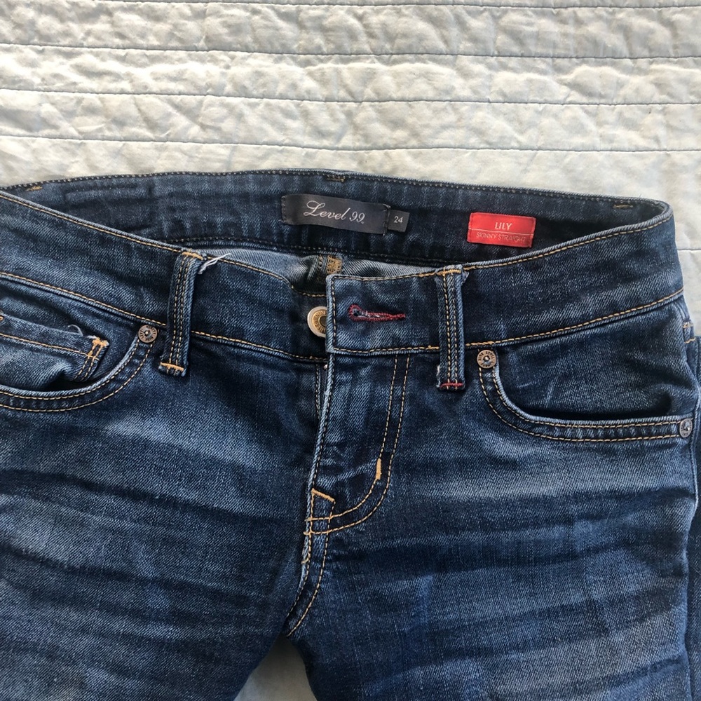 Level 99 skinny jeans size 24